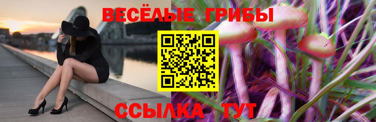 Псилоцибиновые грибы мицелий  купить закладку  Джанкой  Псилоцибиновые грибы Psilocybe  Вход с VPN 
